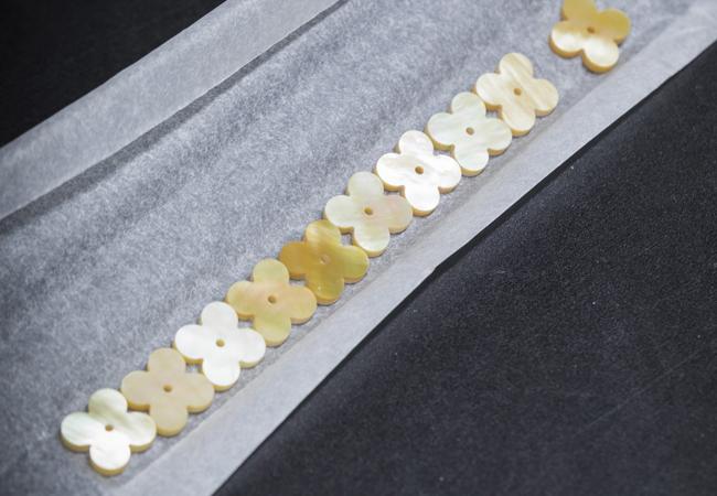 金色珍珠母貝圖騰