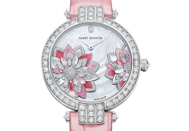 海瑞溫斯頓HARRY WINSTON 卓時系列Lotus36毫米自動腕錶