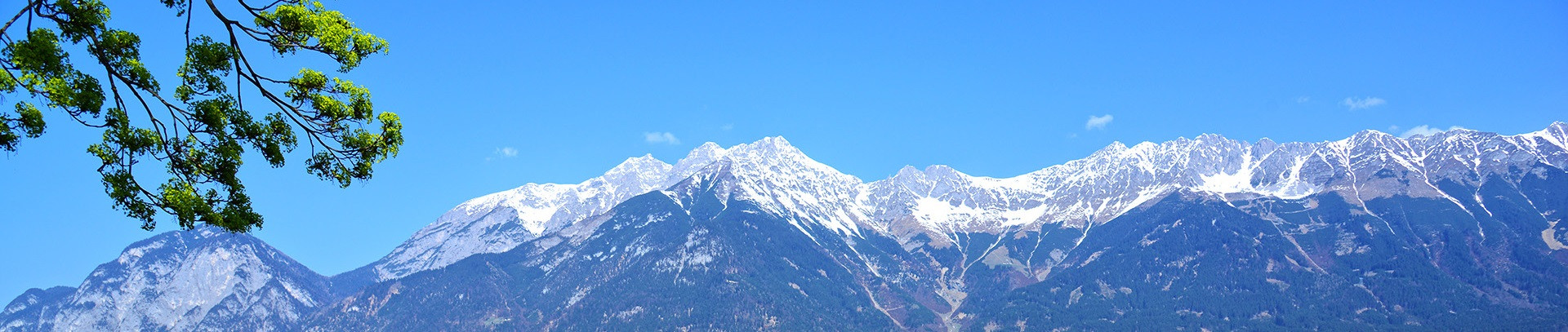 mobile image