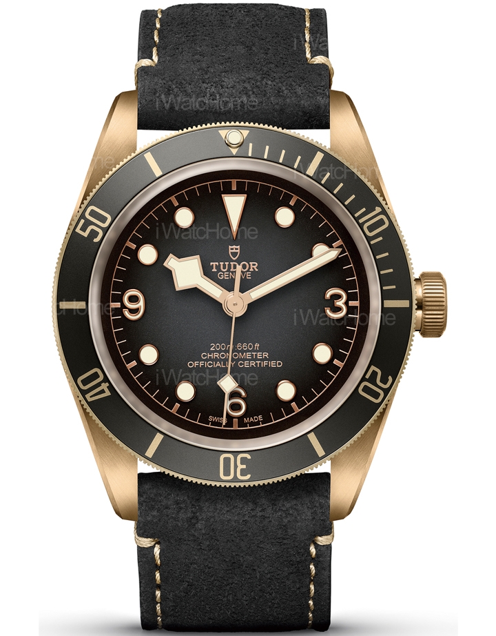 Black Bay Bronze