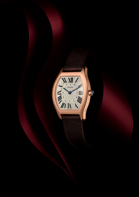 Tortue Medium Model