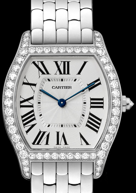 Tortue Medium Model