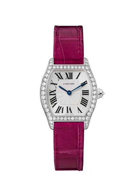 Tortue Small Model