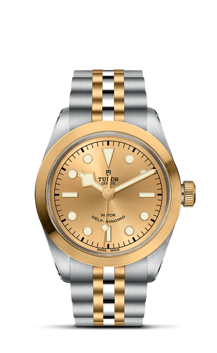 TUDOR Black Bay 36 S&G