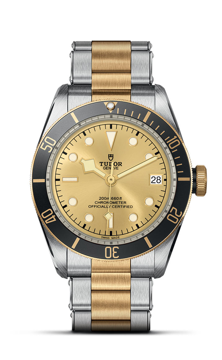 TUDOR Black Bay S&G
